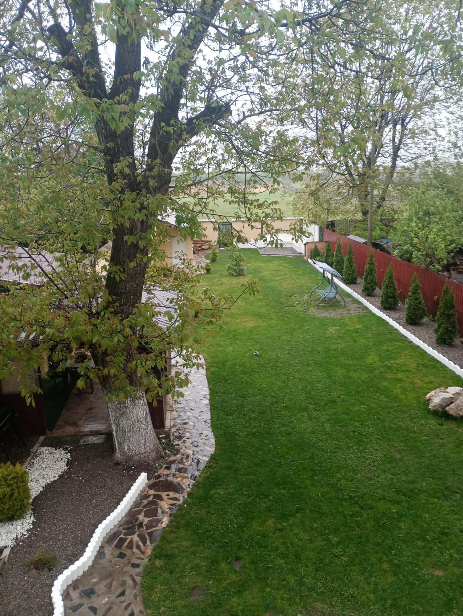 Izabella Guest House Săcele Exterior foto